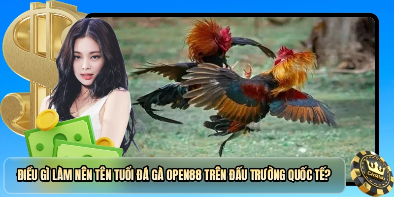 Điều gì làm nên tên tuổi đá gà OPEN88 trên đấu trường quốc tế?